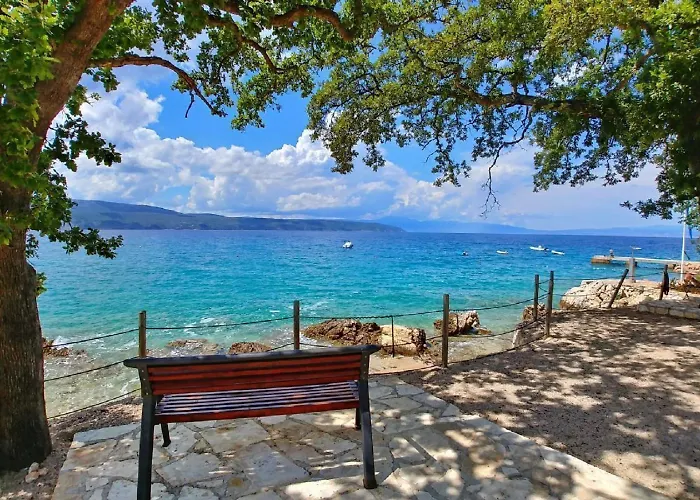 Vila With Pool, Garden, In A Quiet Small Village - By Traveler Tourist Agency Krk - Id 2179 *
